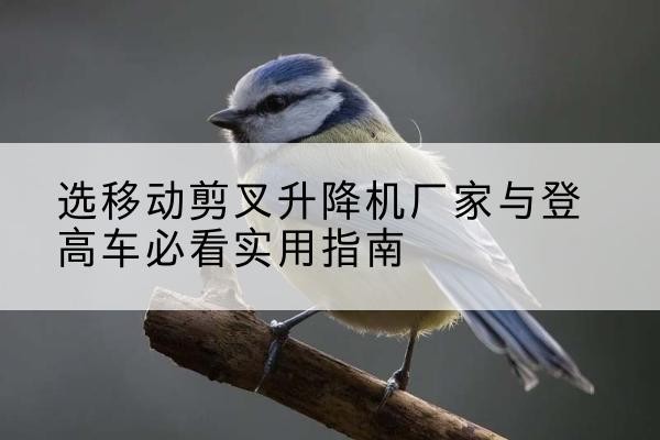 资中电动升降机厂家-选移动剪叉升降机厂家与登高车必看实用指南