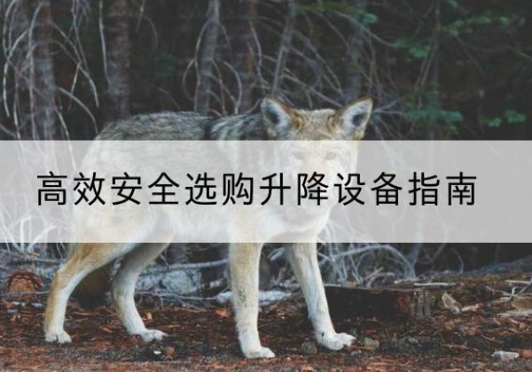 资中升降货梯厂家推荐-*安全选购升降设备指南