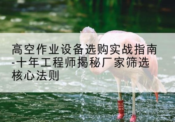 资中剪叉式升降机厂家-高空作业设备选购实战指南-十年工程师揭秘厂家筛选核心法则